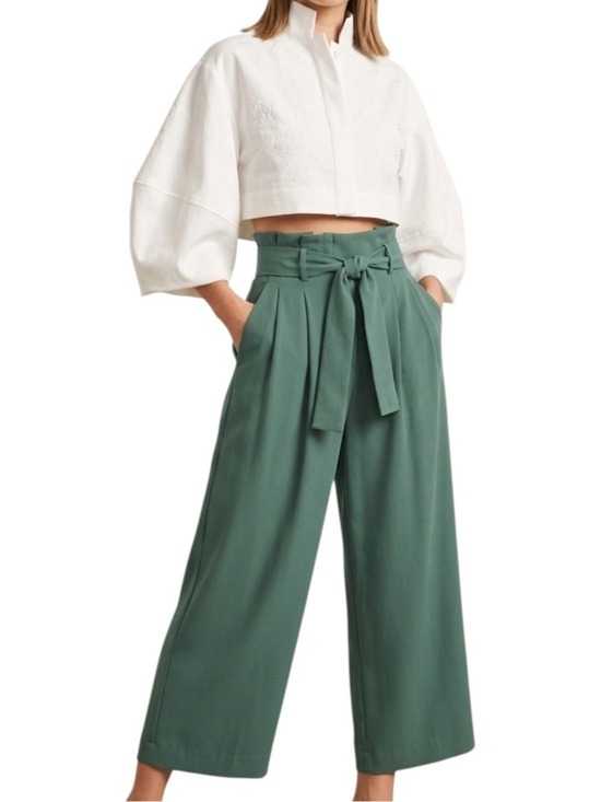Aritzia Pants - Aritzia Babaton old money high rise cropped wide leg paper bag waist trousers 8